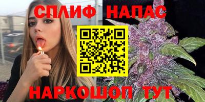 хмурый Малгобек